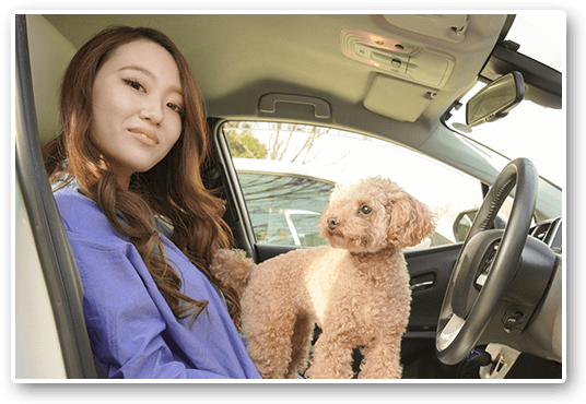 愛犬と車に乗る女性